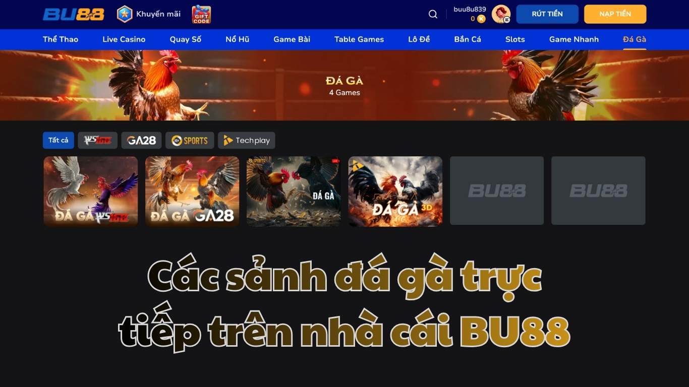 Các sảnh đá gà trực tiếp trên nhà cái BU88
