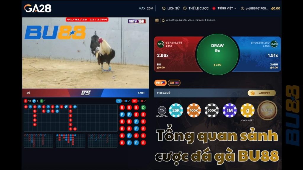 Tổng quan sảnh cược đá gà BU88
